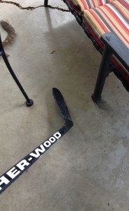 Current "Dead Squirrel Disaster Plan"