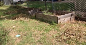 These three piles were too much to squeeze in the compost bin.